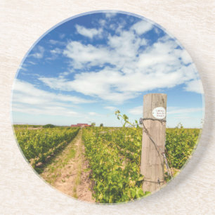 USA, Washington, Walla Walla. Cabernet Sauvignon Coaster