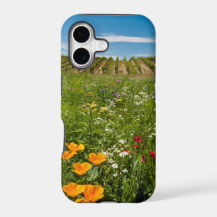 USA, Washington, Walla Walla. Wildflowers