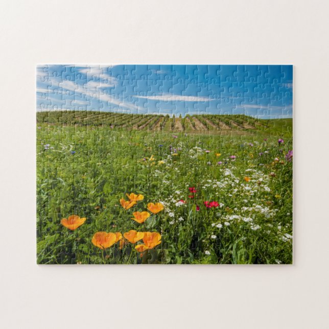 USA, Washington, Walla Walla. Wildflowers Jigsaw Puzzle (Horizontal)