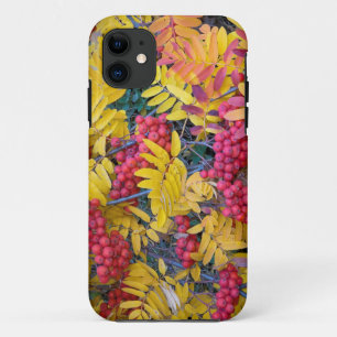 USA, Washington, Western Mountain Ash, Okanogan iPhone 11 Case