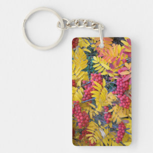 USA, Washington, Western Mountain Ash, Okanogan Keychain