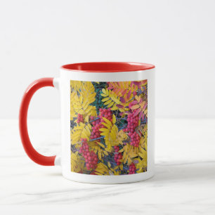 USA, Washington, Western Mountain Ash, Okanogan Mug