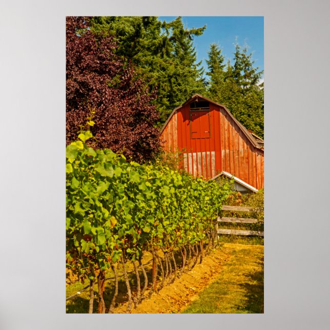 USA, Washington, Whidbey Island. Winery Poster (Front)