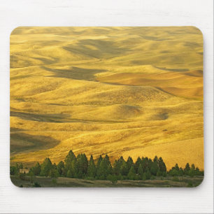 USA, Washington, Whitman County, Palouse, Wheat Mouse Pad