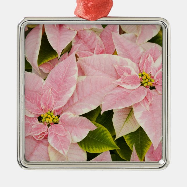 USA, Washington, Woodinville, Molbak's Nursery, 4 Metal Ornament (Front)