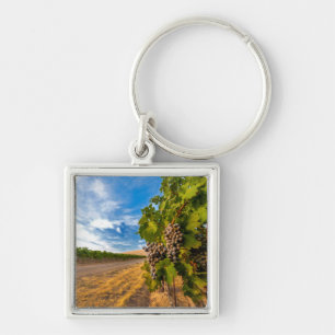 USA, Washington, Yakima Valley. Merlot Grapes Keychain