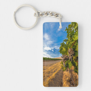 USA, Washington, Yakima Valley. Merlot Grapes Keychain