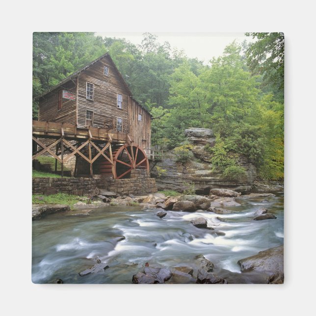 USA, West Virginia, Babcock SP. Rustic Glade Magnet (Front)