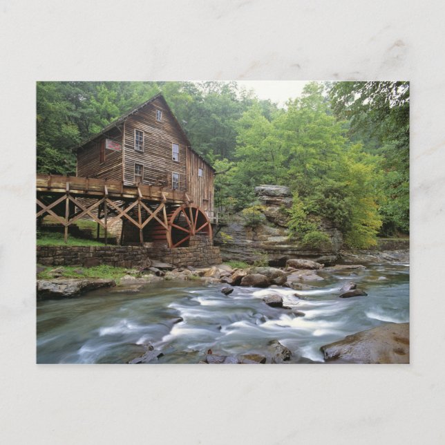 USA, West Virginia, Babcock SP. Rustic Glade Postcard (Front)