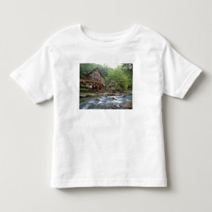 USA, West Virginia, Babcock SP. Rustic Glade Toddler T-shirt