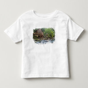 USA, West Virginia, Babcock SP. Rustic Glade Toddler T-shirt
