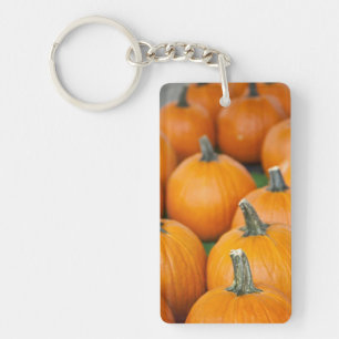 USA, West Virginia, Charleston. Capitol 2 Keychain