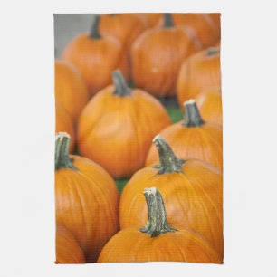 USA, West Virginia, Charleston. Capitol 2 Kitchen Towel