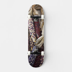 USA, West Virginia, Charleston. Capitol Skateboard