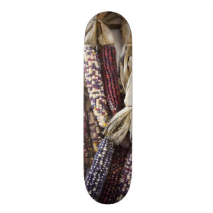 USA, West Virginia, Charleston. Capitol Skateboard