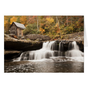 USA, West Virginia, Clifftop. Babcock State