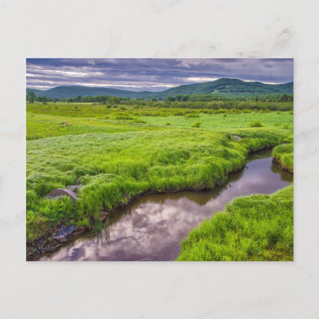 USA, West Virginia, Davis. Landscape 2 Postcard (Front)