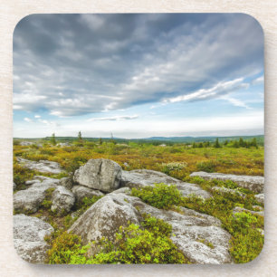 USA, West Virginia, Davis. Landscape In Dolly Coaster