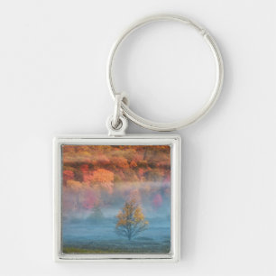 USA, West Virginia, Davis. Misty valley and Keychain