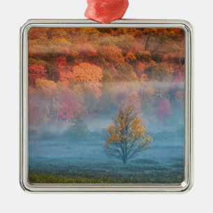 USA, West Virginia, Davis. Misty valley and Metal Ornament