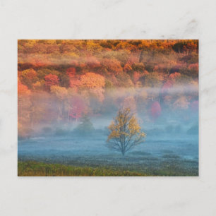 USA, West Virginia, Davis. Misty valley and Postcard