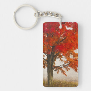 USA, West Virginia, Davis. Red maple in autumn Keychain