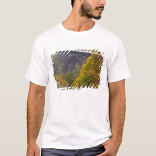 USA, West Virginia, Fayetteville. New River T-Shirt