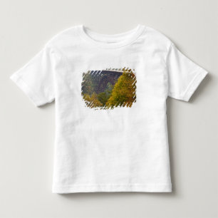USA, West Virginia, Fayetteville. New River Toddler T-shirt