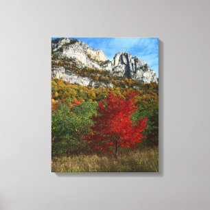 USA, West Virginia, Spruce Knob-Seneca Rocks Canvas Print