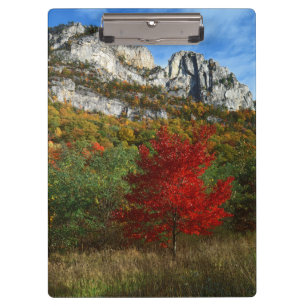 USA, West Virginia, Spruce Knob-Seneca Rocks Clipboard