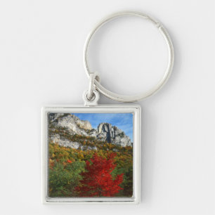 USA, West Virginia, Spruce Knob-Seneca Rocks Keychain