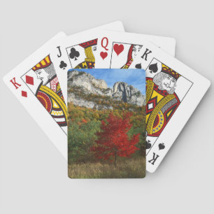 USA, West Virginia, Spruce Knob-Seneca Rocks Playing Cards