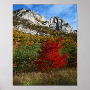 USA, West Virginia, Spruce Knob-Seneca Rocks Poster