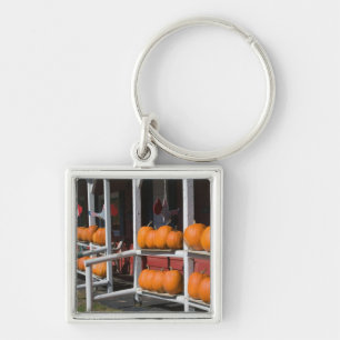 USA, WISCONSIN, Washburn: Lake Superior Shore, Keychain