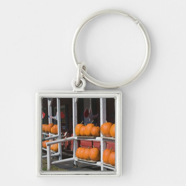 USA, WISCONSIN, Washburn: Lake Superior Shore, Keychain (Front)