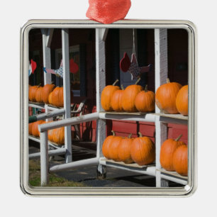 USA, WISCONSIN, Washburn: Lake Superior Shore, Metal Ornament