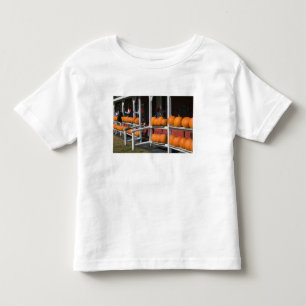 USA, WISCONSIN, Washburn: Lake Superior Shore, Toddler T-shirt