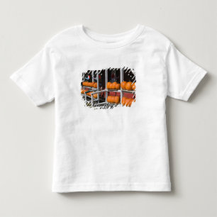 USA, WISCONSIN, Washburn: Lake Superior Shore, Toddler T-shirt