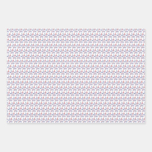 USA wrapping paper