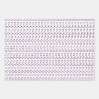 USA wrapping paper