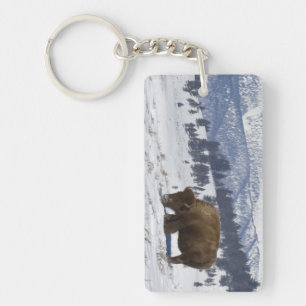 USA, WY, Yellowstone NP, American Bison Bison Keychain