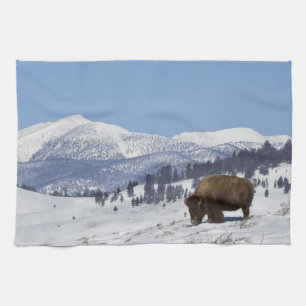USA, WY, Yellowstone NP, American Bison Bison Kitchen Towel