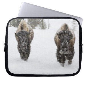 USA, WY, Yellowstone NP, American Bison (Bison Laptop Sleeve
