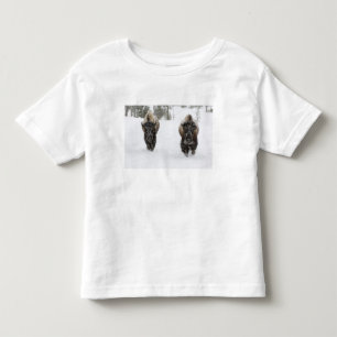 USA, WY, Yellowstone NP, American Bison (Bison Toddler T-shirt