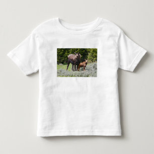 USA, Wyoming, Bighorn Mountains, moose Alces Toddler T-shirt