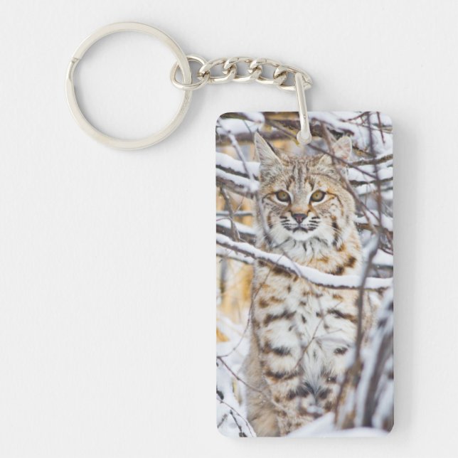 USA, Wyoming, Bobcat Keychain (Front)