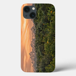 USA, Wyoming, Grand Teton National Park 1 iPhone 13 Case