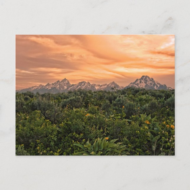 USA, Wyoming, Grand Teton National Park 1 Postcard (Front)