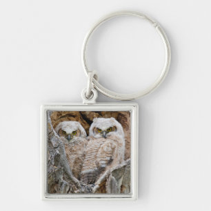 USA, Wyoming, Grand Teton National Park Keychain