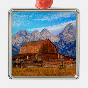 USA, Wyoming, Grand Teton National Park. Metal Ornament